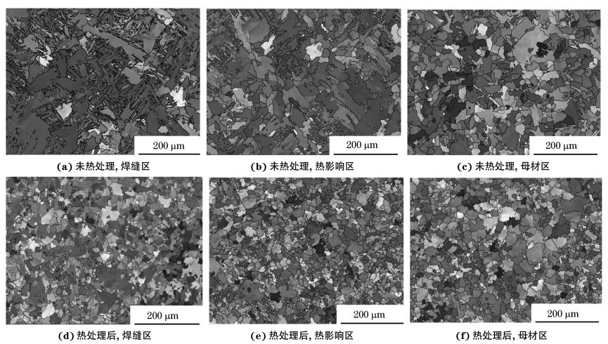 圖２ 熱處理前后焊接接頭焊縫區(qū)、熱影響區(qū)和母材區(qū)的取向成像圖