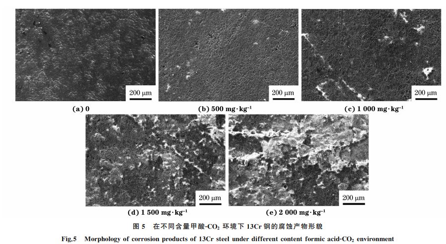 圖5 在不同含量甲酸GCO2 環(huán)境下13Cr鋼的腐蝕產(chǎn)物形貌 圖5 在不同含量甲酸GCO2 環(huán)境下13Cr鋼的腐蝕產(chǎn)物形貌
