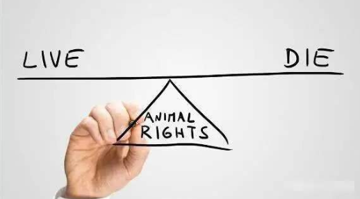 APP開發(fā):選擇外包公司還是選擇自主研發(fā)？